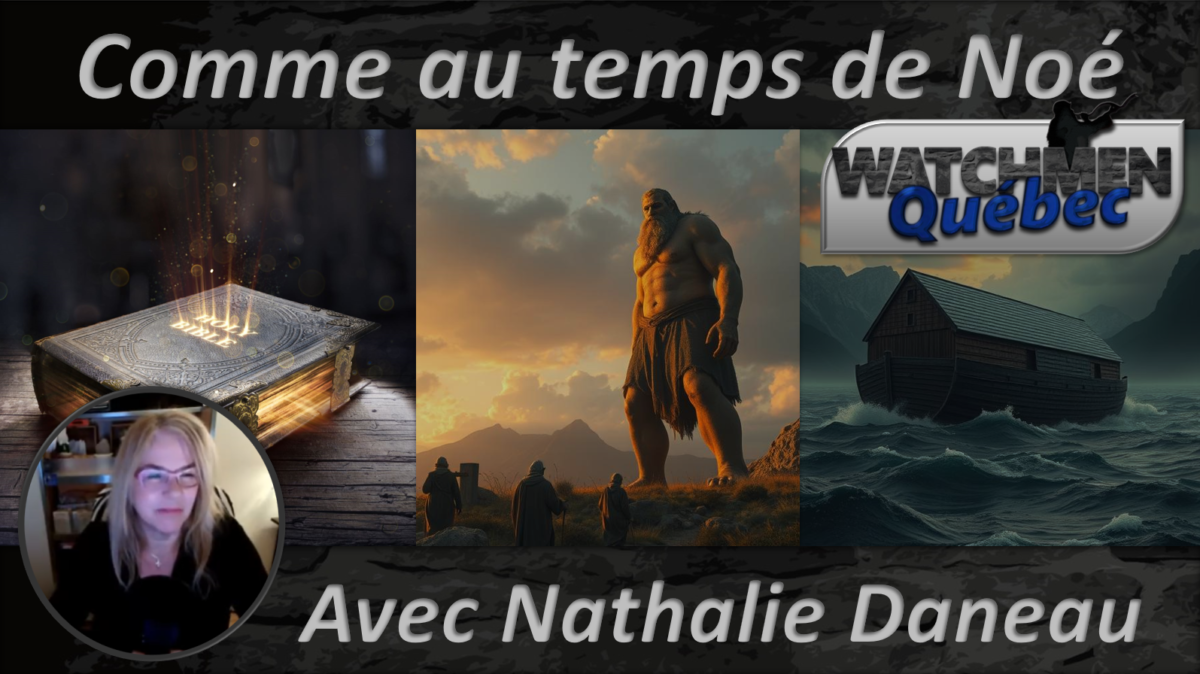 Épisode 84